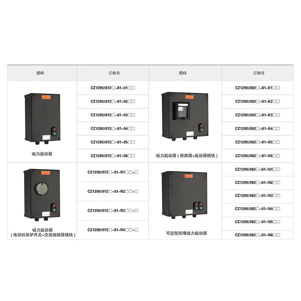 CZ1290 磁力起动器( 电动机保护开关 + 交流接触器模块 ) 